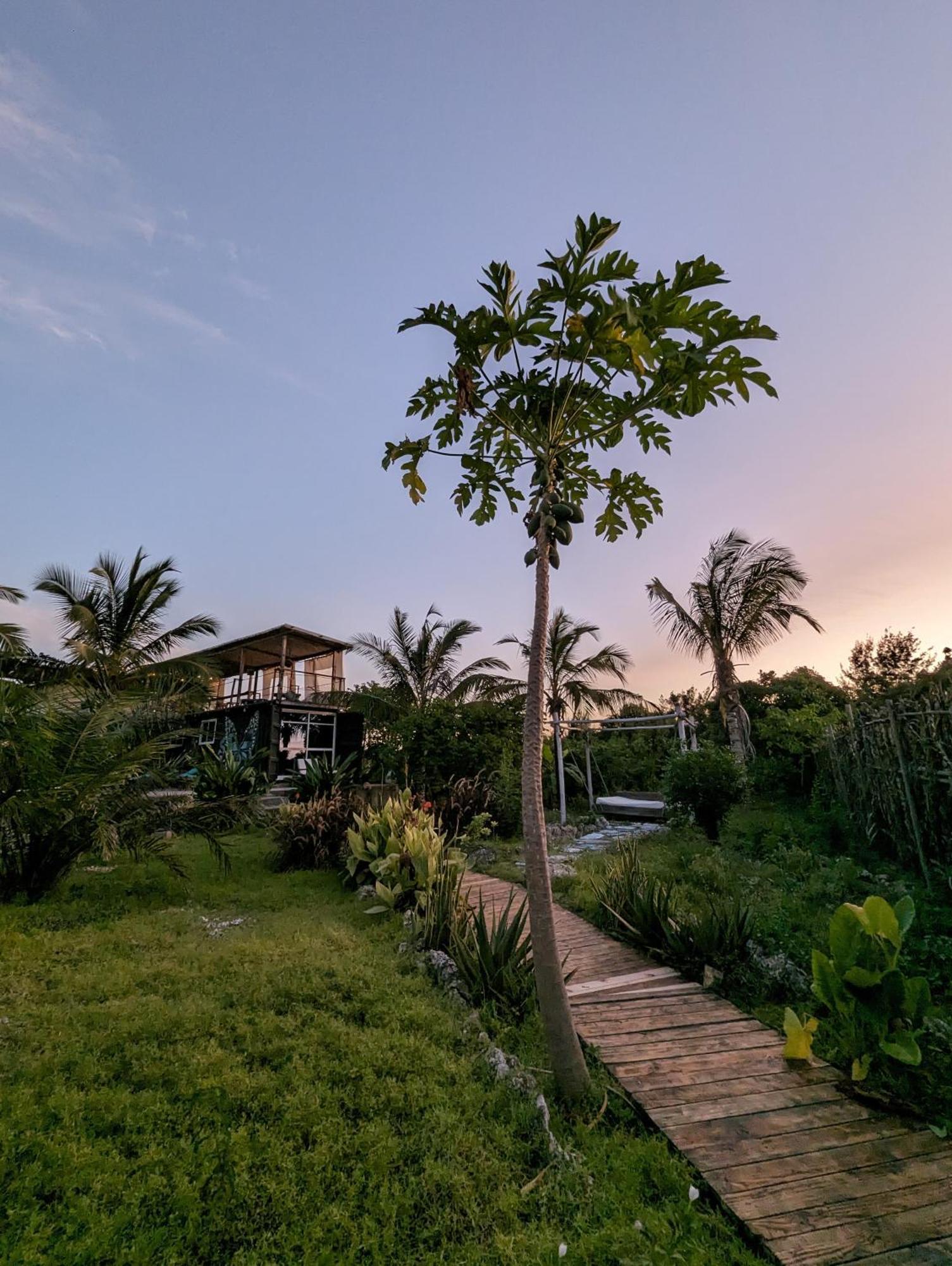 Jambiani Backpackers Hostel Exterior foto